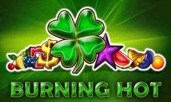 Burning Hot logo